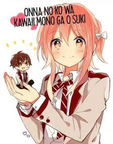 Onna no Ko wa Kawaii Mono ga O Suki cover
