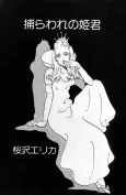 Toraware no Himegimi cover