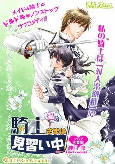 Watashi no Kishi-sama wa Minaraichuu! cover