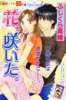Hana, Saita. cover
