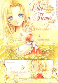 Like a Flower cover