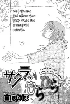 Sakura Hira Hira cover