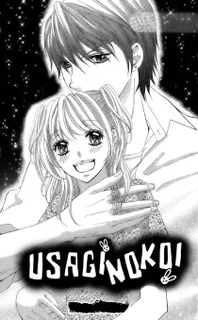 Usagi no Koi cover