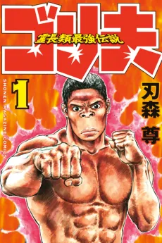 Gorio cover