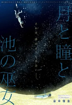 The Moon, the Eyes, and the Shrine Maiden of the Lake cover