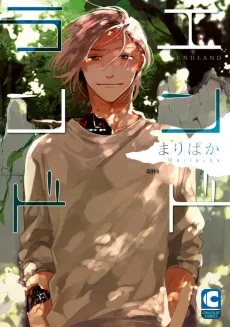 Endland cover