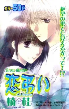 Koi Tomurai cover