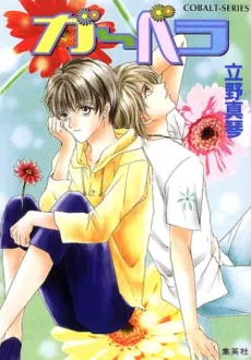 Gerbera cover