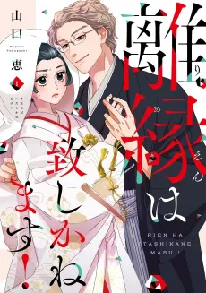 Rien wa Itashikanemasu! cover
