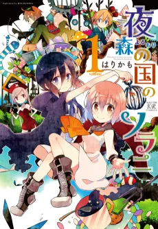 Yorumori no Kuni no Sora ni cover