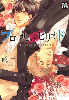 Blossom Period cover