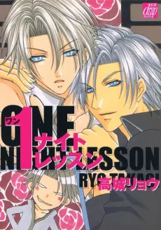 One Night Lesson cover