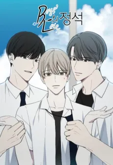 Standard BL cover