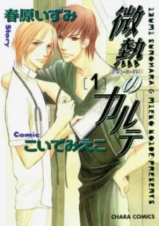 Binetsu no Karute cover