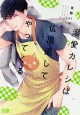 Dekiai Kareshi wa Bucchouzura shite Yattekuru cover