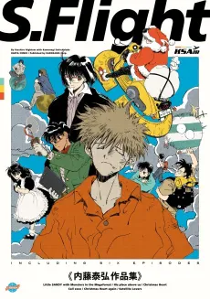 S.Flight cover