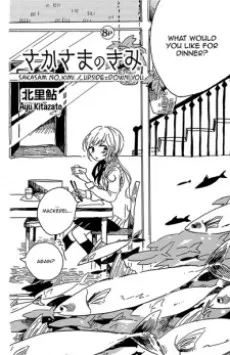 Sakasama no Kimi cover
