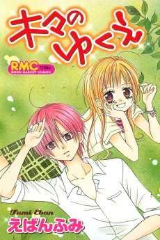 Kigi no Yukue cover