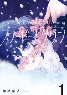 Snow Dome Town cover