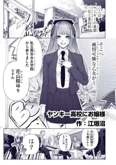 Yankee Koukou ni Ojou-sama cover