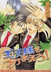 Ouji-sama wo Tsukamaero! cover