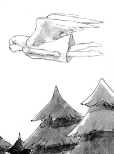 False cover