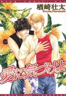 Ai ni Kizuke yo cover