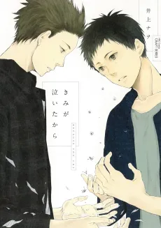 Kimi ga Naita kara cover
