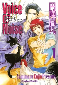 Voice or Noise cover