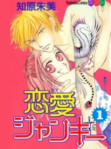 Love Junky cover