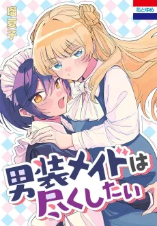 Dansou Maid wa Tsukushitai cover