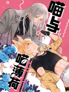 My Catnip, Meow! cover
