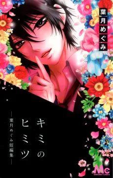 Kimi no Himitsu cover