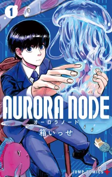 AURORA NODE cover