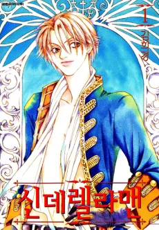 Cinderella Fella cover