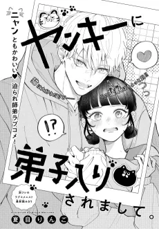 Yankee ni Deshiiri Saremashite. cover