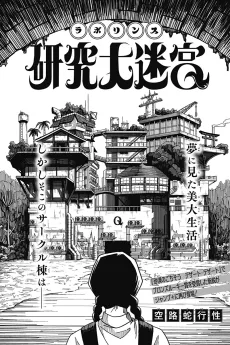 Laborinth cover