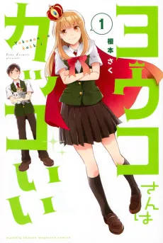 Youko-san wa Kakkoii cover