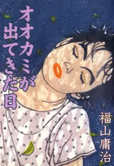 Ookami ga Detekita Hi cover