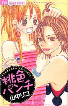 Momoiro Punch cover