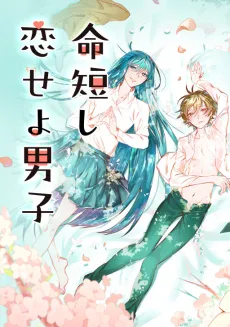 The Girl I Like Is a Boy cover