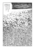 Vagabond Plain cover