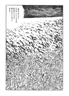 Vagabond Plain cover