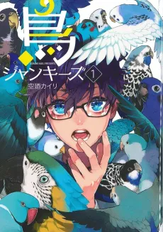 Tori Junkies cover