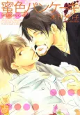 Honey Colored Pancakes cover