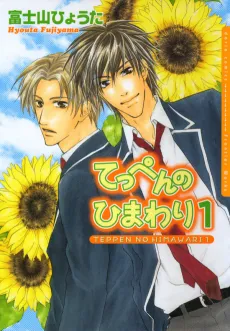 Sunflower cover