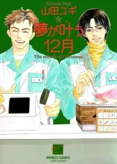 Yume ga Kanau Juunigatsu cover