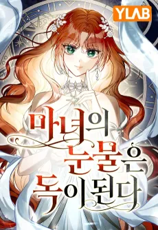 Manyeoui Nunmureun Dogi Doenda cover