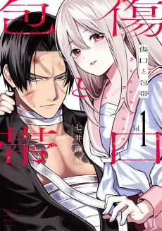 Kizuguchi to Houtai cover
