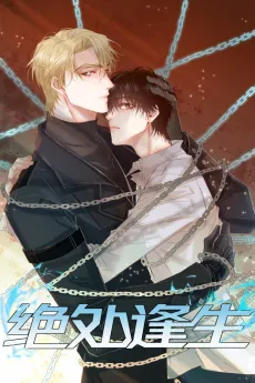 Jue Chu Feng Sheng cover